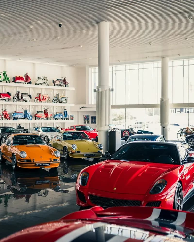 Sports cars lined up in a dealership showroom